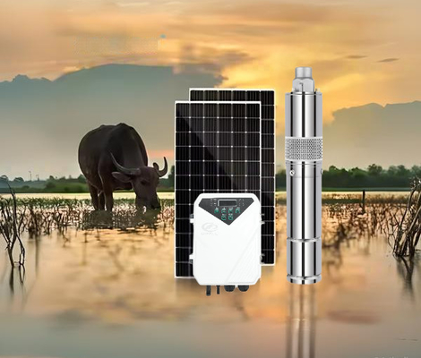 Un buon prezzo. Tensione ottimale di ingresso 60V-90V pompa solare ad acqua a corrente continua con tipo di regolatore MPPT e flusso massimo 3,8m3/h in linea