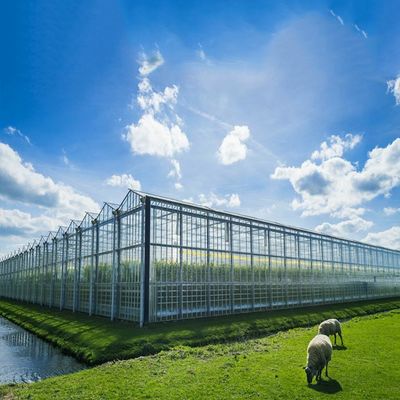 Un buon prezzo. Multi sistema solare della serra di scopo 500KW BIPV in linea