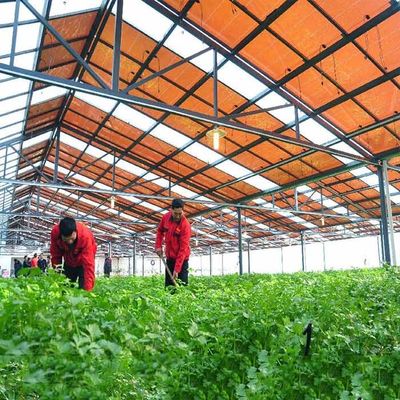 Un buon prezzo. Struttura di sostegno galvanizzata calda del modulo del film sottile della struttura d'acciaio per le serre fotovoltaiche in linea