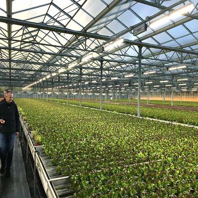 Un buon prezzo. Spessore a energia solare della serra 2.0mm 2.5mm di agricoltura di resistenza della corrosione in linea