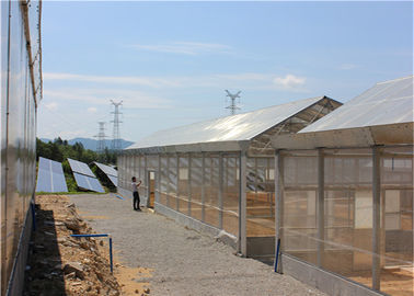 Un buon prezzo. I raccolti agricoli delle centrali elettriche fotovoltaiche del sistema solare della serra montati tetto in linea