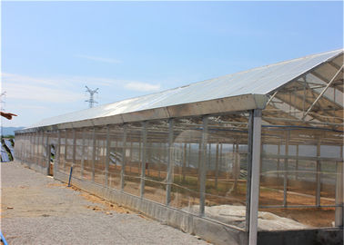 Un buon prezzo. Sistema solare al suolo per agricoltura, sistemi solari del montaggio di PV dell'azienda agricola della pianta in linea