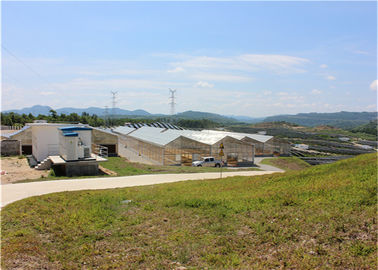 Un buon prezzo. Sistema fotovoltaico integrato di costruzione del montaggio, sistema del montaggio di pannello di BIPV in linea