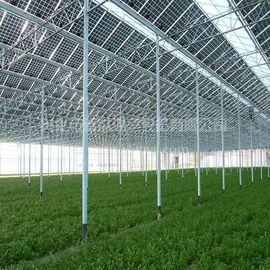 Un buon prezzo. Trattamento di superficie galvanizzato Electric Power commerciale del sistema solare della serra in linea