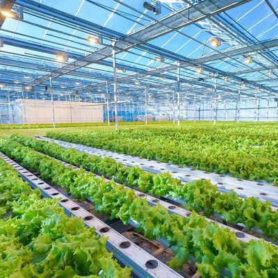 Un buon prezzo. Struttura di montaggio agricola fotovoltaica di altezza della serra della struttura leggera regolabile intelligente del sistema solare in linea