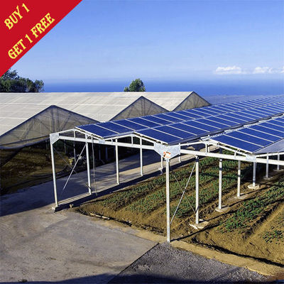 Un buon prezzo. Resistenza della corrosione su misura sistema solare di colore della serra di agricoltura in linea