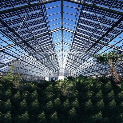 Un buon prezzo. Carico massimo fotovoltaico della neve della struttura Q235 Q345 1.4KN/M2 del sistema solare della serra del tetto in linea