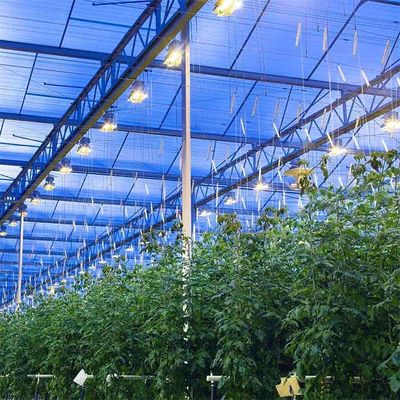 Un buon prezzo. Struttura di sostegno integrata del modulo del film sottile delle serre dei sistemi del montaggio di pannello di PV in linea