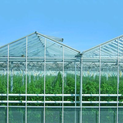 Un buon prezzo. Sistema solare fotovoltaico montato al suolo per l'azienda agricola della pianta in linea