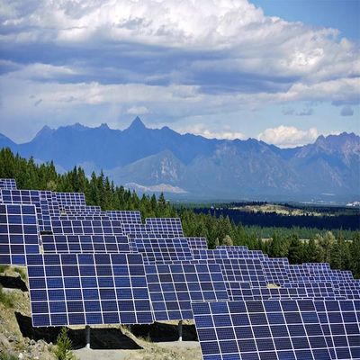 Un buon prezzo. Le strutture di montaggio fotovoltaiche del metallo, terra bassa galvanizzata hanno montato i sistemi solari di PV in linea