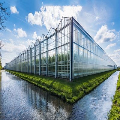 Un buon prezzo. sistema solare di 60m/S Max Wind Speed Anticorrosive Greenhouse in linea