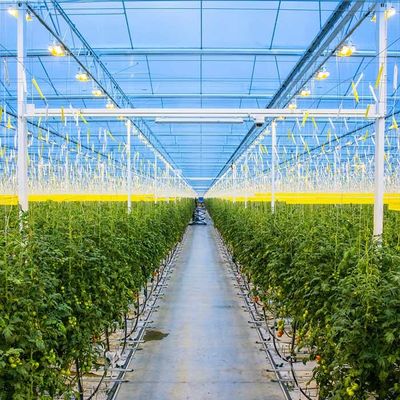Un buon prezzo. Serra solare galvanizzata agricola di PV della struttura d'acciaio in linea
