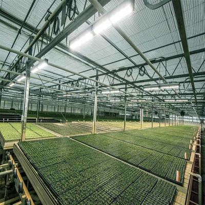 Un buon prezzo. Una serra alimentata solare agricola di irrigazione all'aperto della struttura in linea