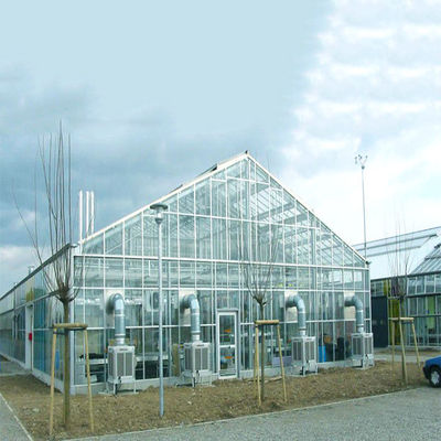 Un buon prezzo. Sistema solare galvanizzato della serra della struttura della struttura d'acciaio per l'azienda agricola in linea