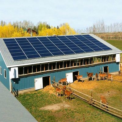 Un buon prezzo. Sistema solare montato al suolo galvanizzato per la serra in linea