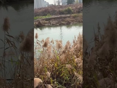 Pompa per acqua a pozzo profondo immersibile a corrente continua da 3 pollici con controllore MPPT